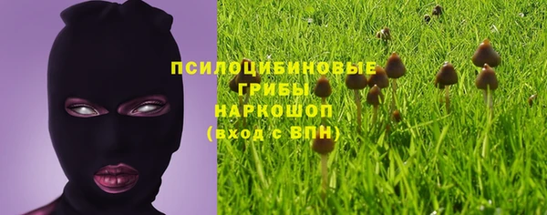 гидра Заводоуковск