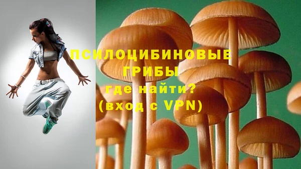 шишки Дмитровск