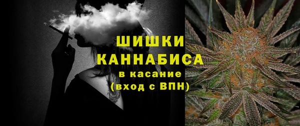гидра Заводоуковск
