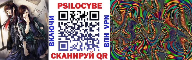 Купить закладки Тайга Псилоцибиновые грибы Psilocybe